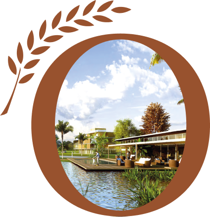 Logo Olivos