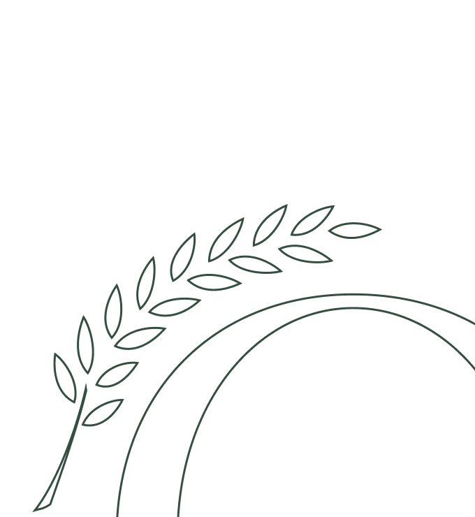 Logo los olvios