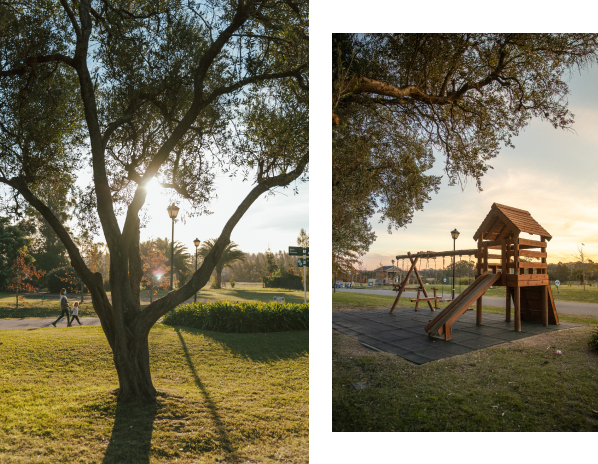 Imagen Paisaje Barrio polo